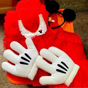 Minnie Mouse Costume